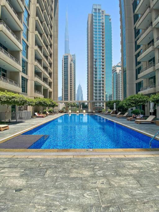 Chic In Gym, Pool, And Free Parking Appartement